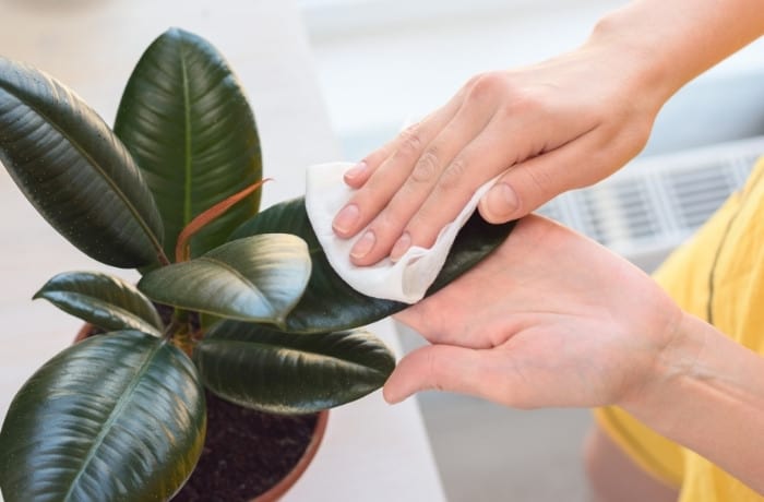 cleaning dust after air duct cleaning