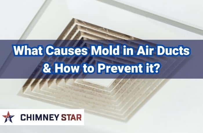 What Causes Mold in Air Ducts and How to Prevent it