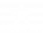 Chimney Star Logo